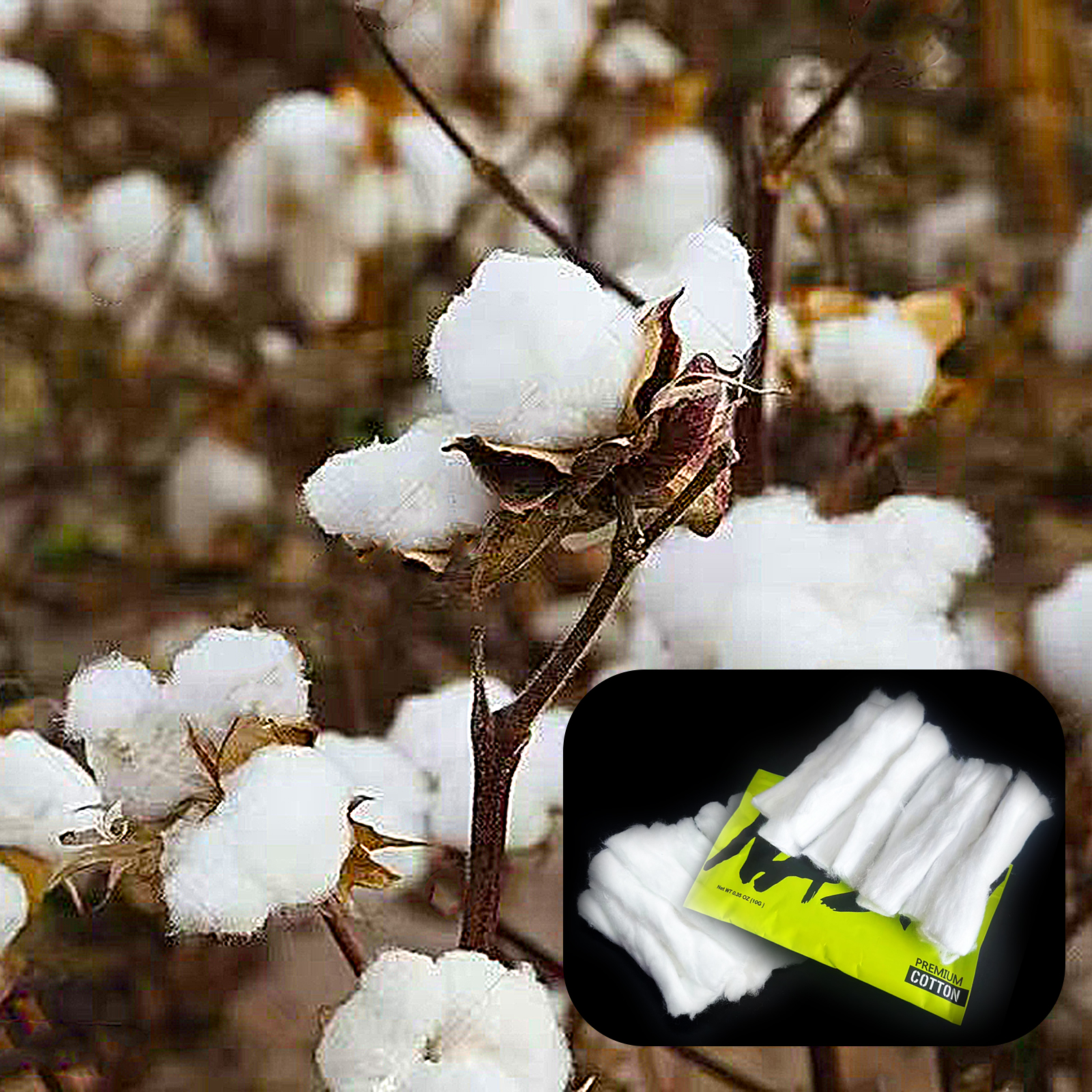 10/5/3Packs Home DIY Natural C - Cotton Wick Organic review and price